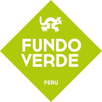 Fundo Verde